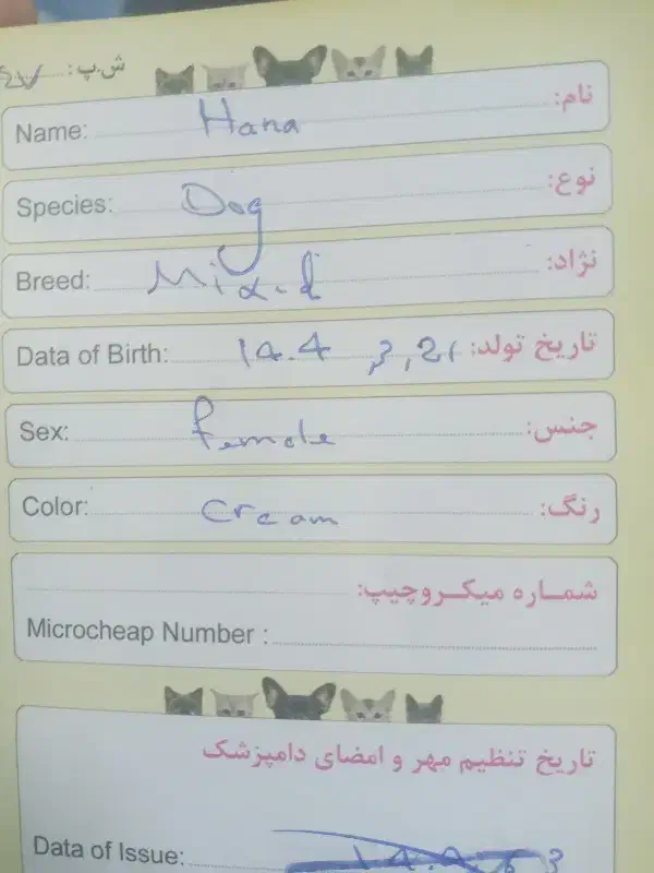 سگ نژاد دار|سگ|قزوین, |دیوار