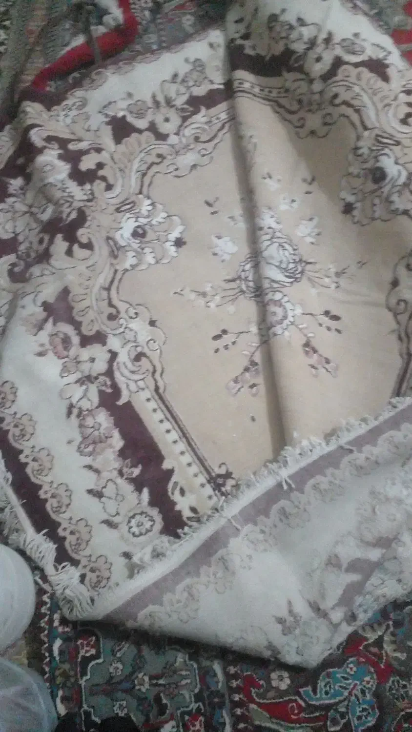 فرش|فرش|زهک, |دیوار