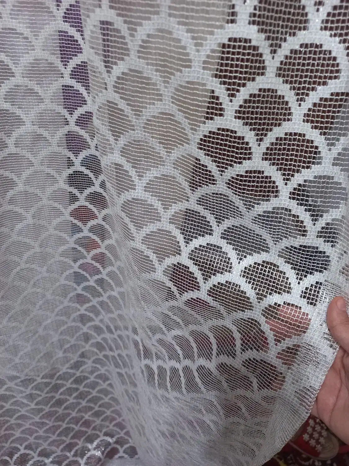 پرده توری رنگ سفید|پرده، رانر، رومیزی|رشت, ولکس|دیوار