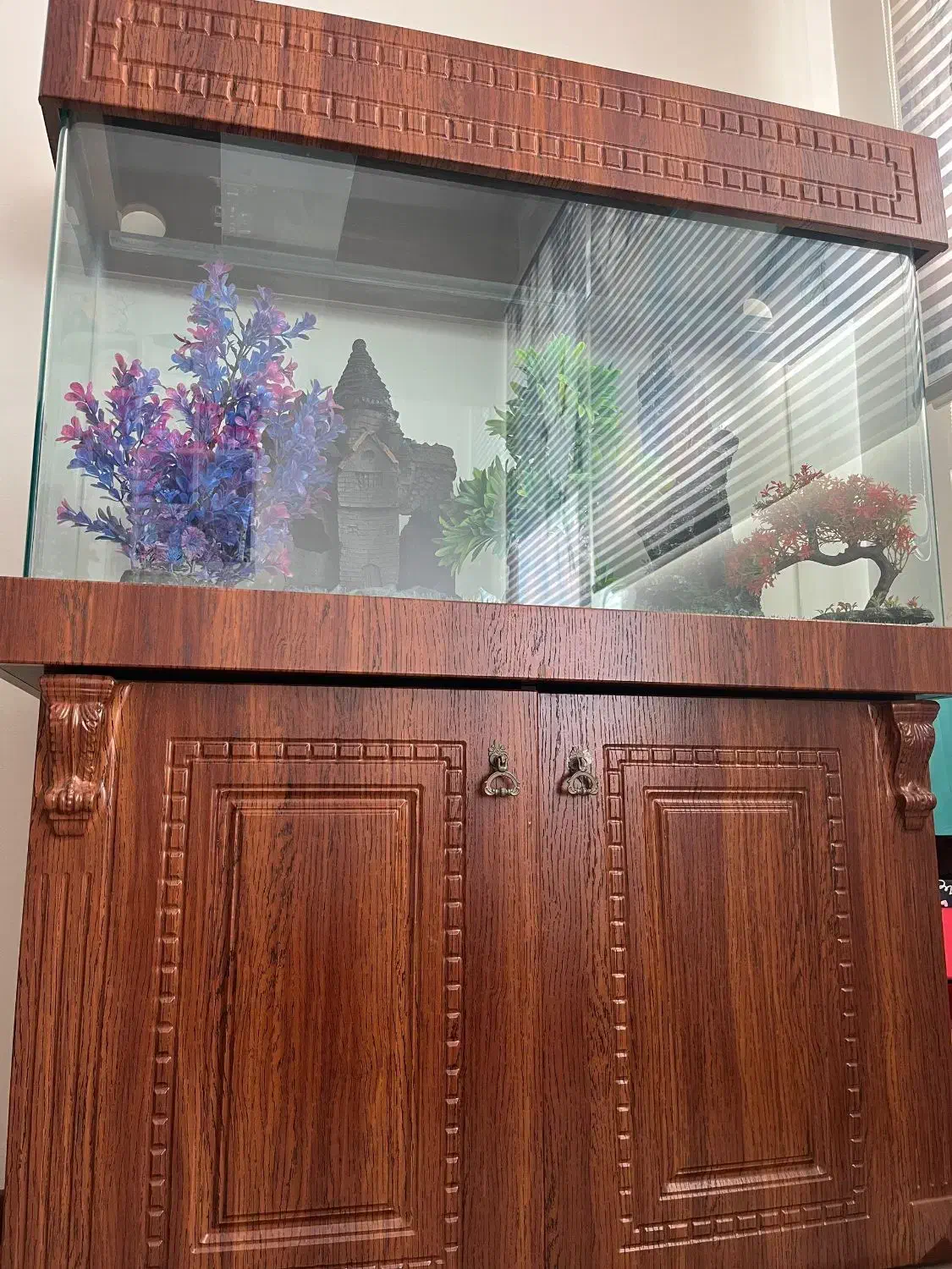 آکواریوم|ماهی|تهران, شهرک امیرالمومنین|دیوار