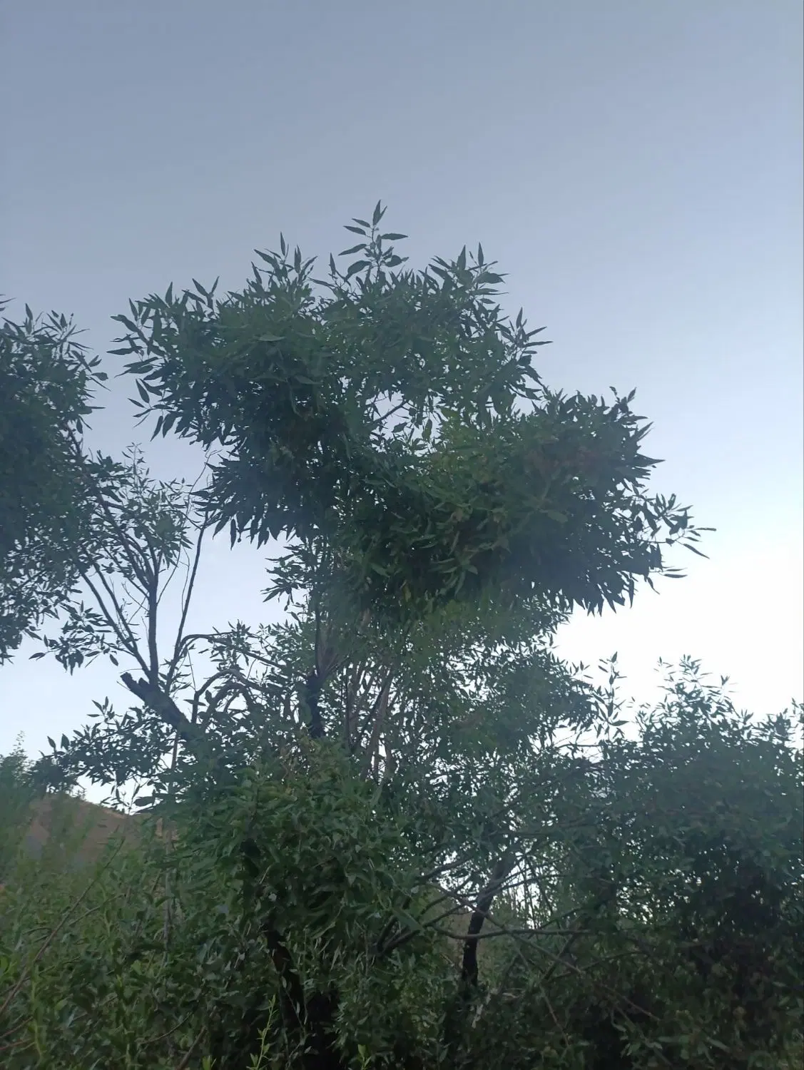 تصویر 5