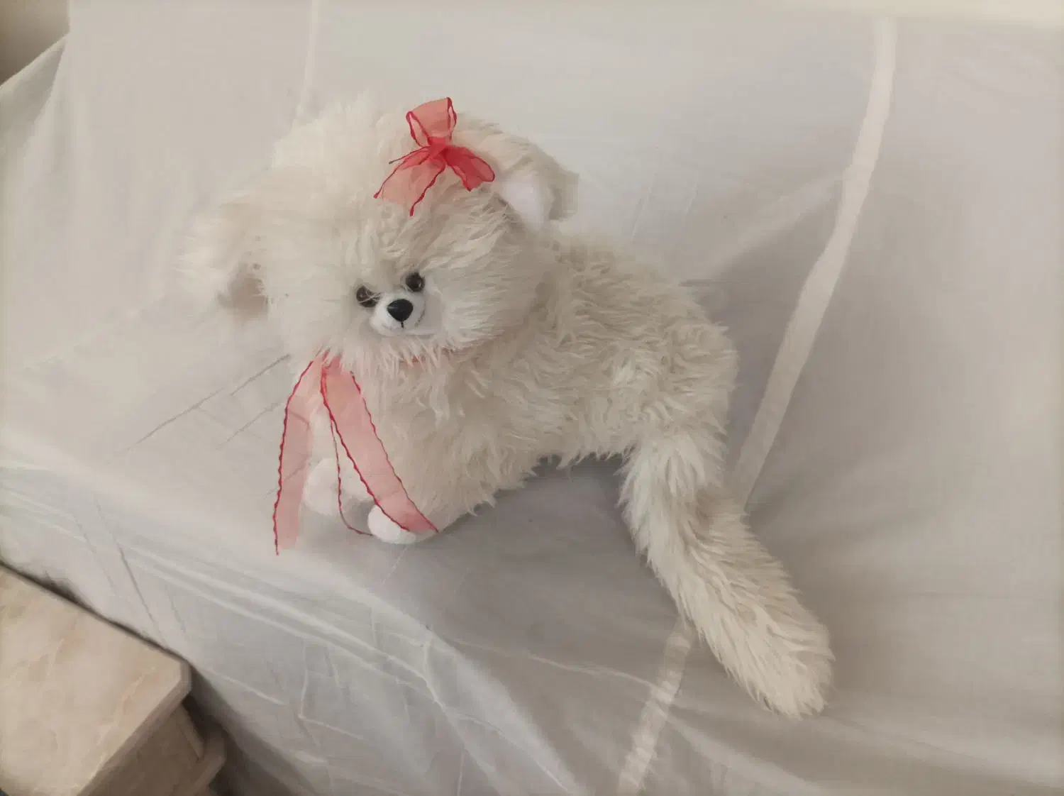 گربه سفید در حد نو فقط ۲۵۰هزار تومن|اسباب‌‌بازی|قزوین, |دیوار