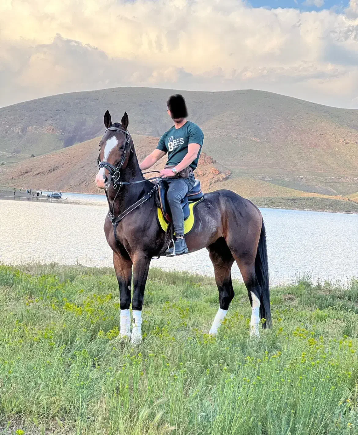 اسب ترکمن|اسب و تجهیزات اسب‌سواری|کرمانشاه, |دیوار