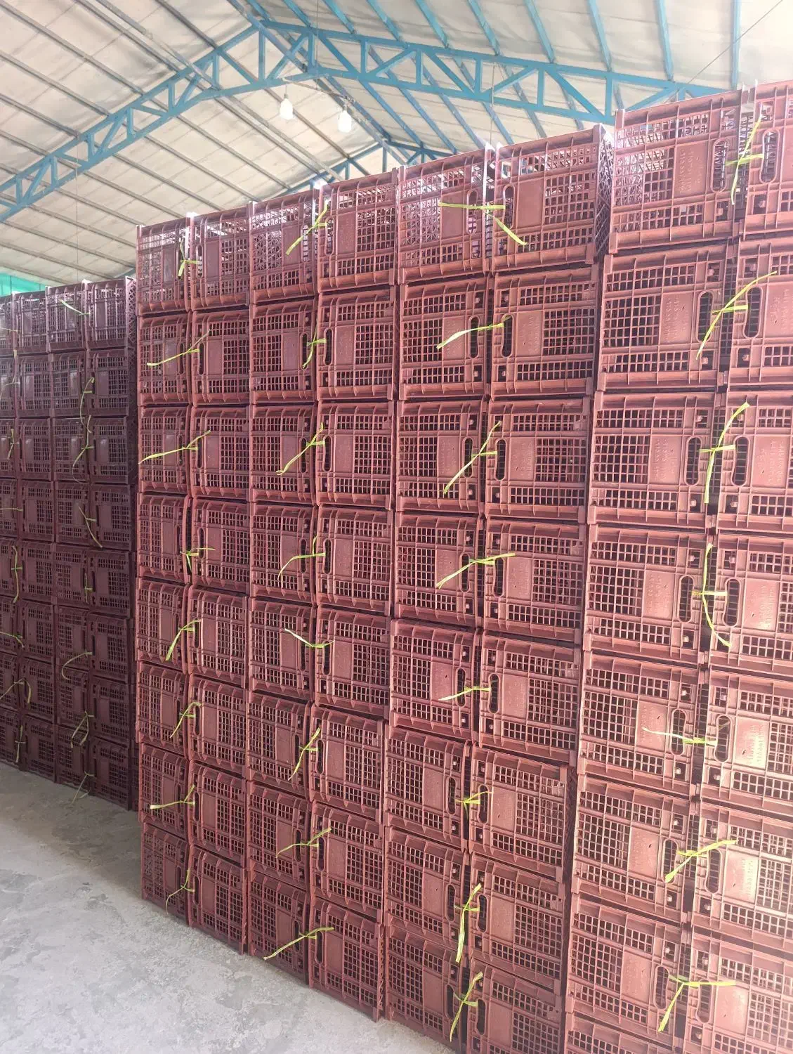 سبد ۱۴ کیلویی|ظروف نگهدارنده، پلاستیکی، یک‌بارمصرف|قائم‌شهر, |دیوار