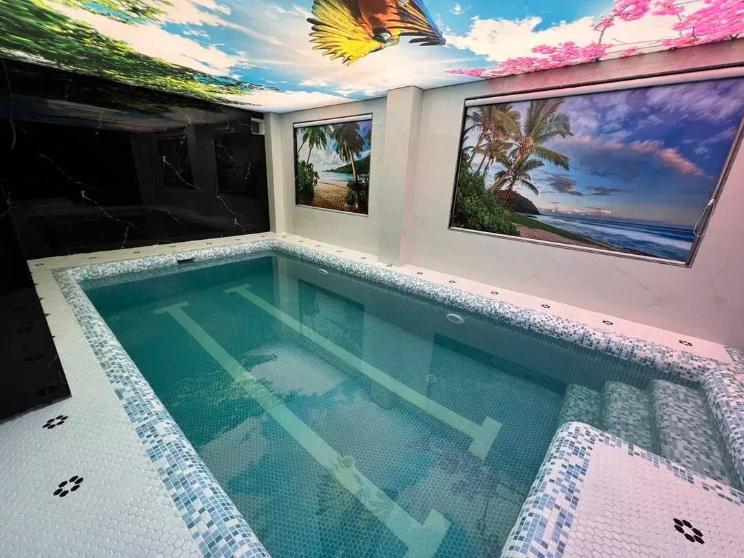 ویلا لاکچری /لوکس|اجارهٔ کوتاه‌مدت ویلا و باغ|محمودآباد, |دیوار