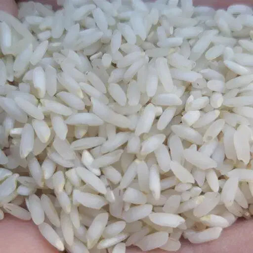 برنج عنبربو به شرط پخت|خوردنی و آشامیدنی|شهرکرد, |دیوار