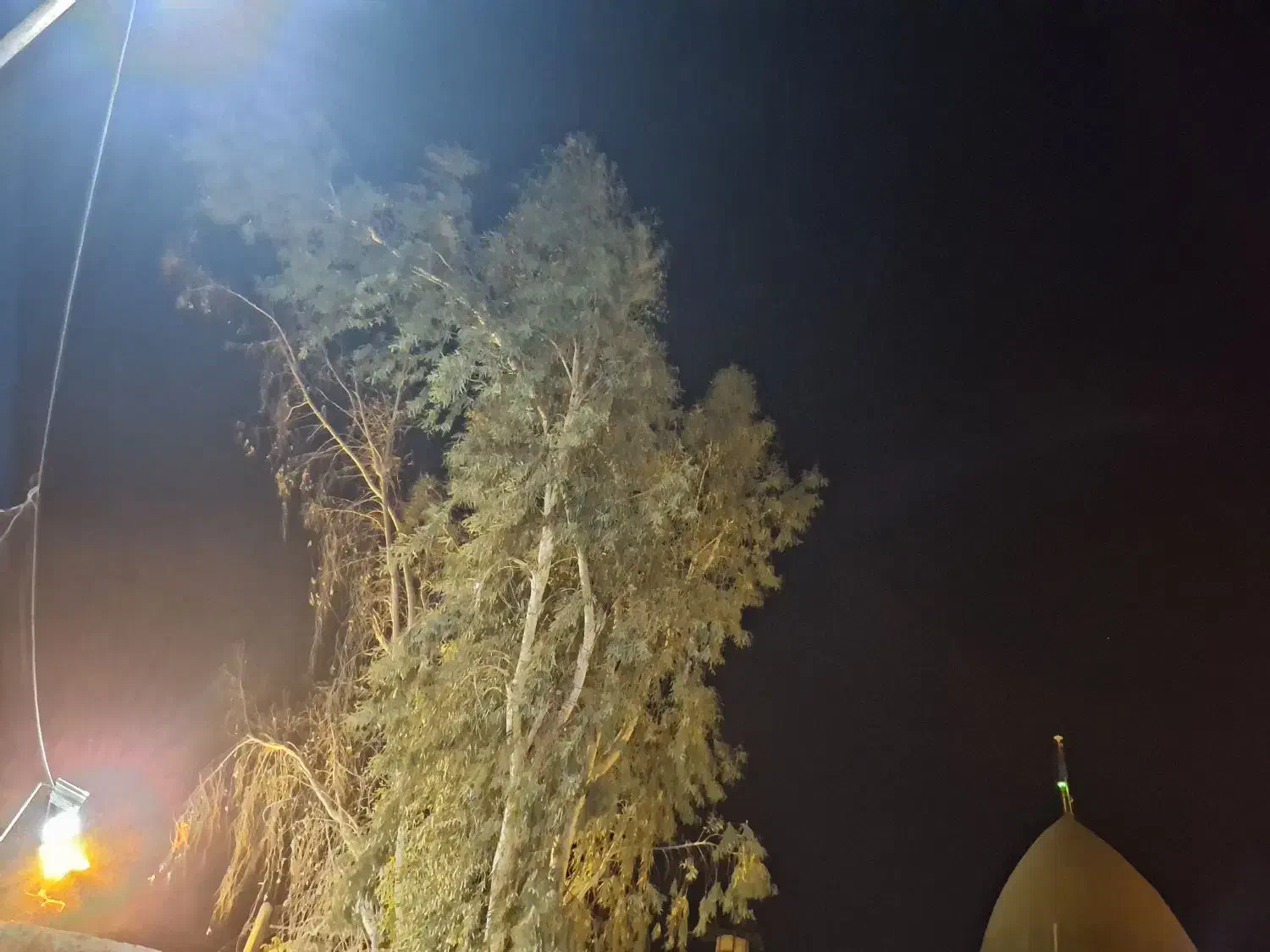 زمین شبکه بهداشت فاز۳|فروش زمین و ملک کلنگی|بهبهان, |دیوار