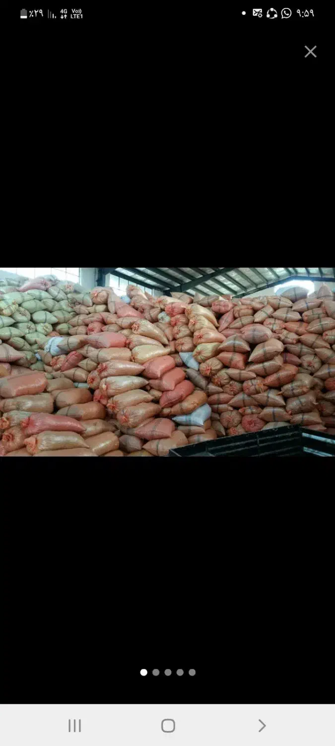 پوست بادام زمینی|خدمات باغبانی و درختکاری|آستانه اشرفیه, |دیوار