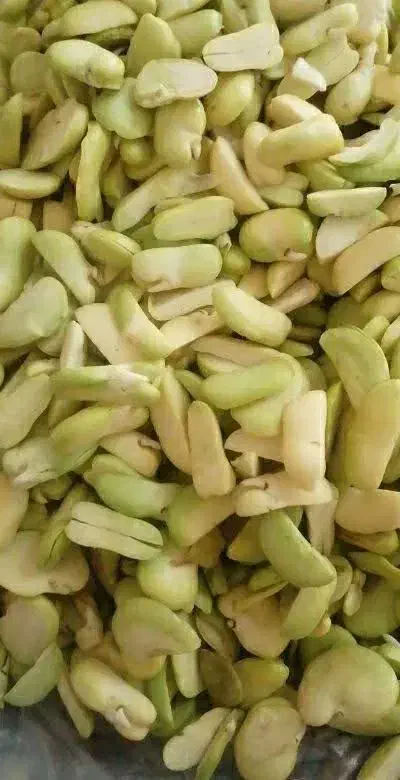 فروش باقالی|خوردنی و آشامیدنی|مشهد, شهرک مهر آباد|دیوار