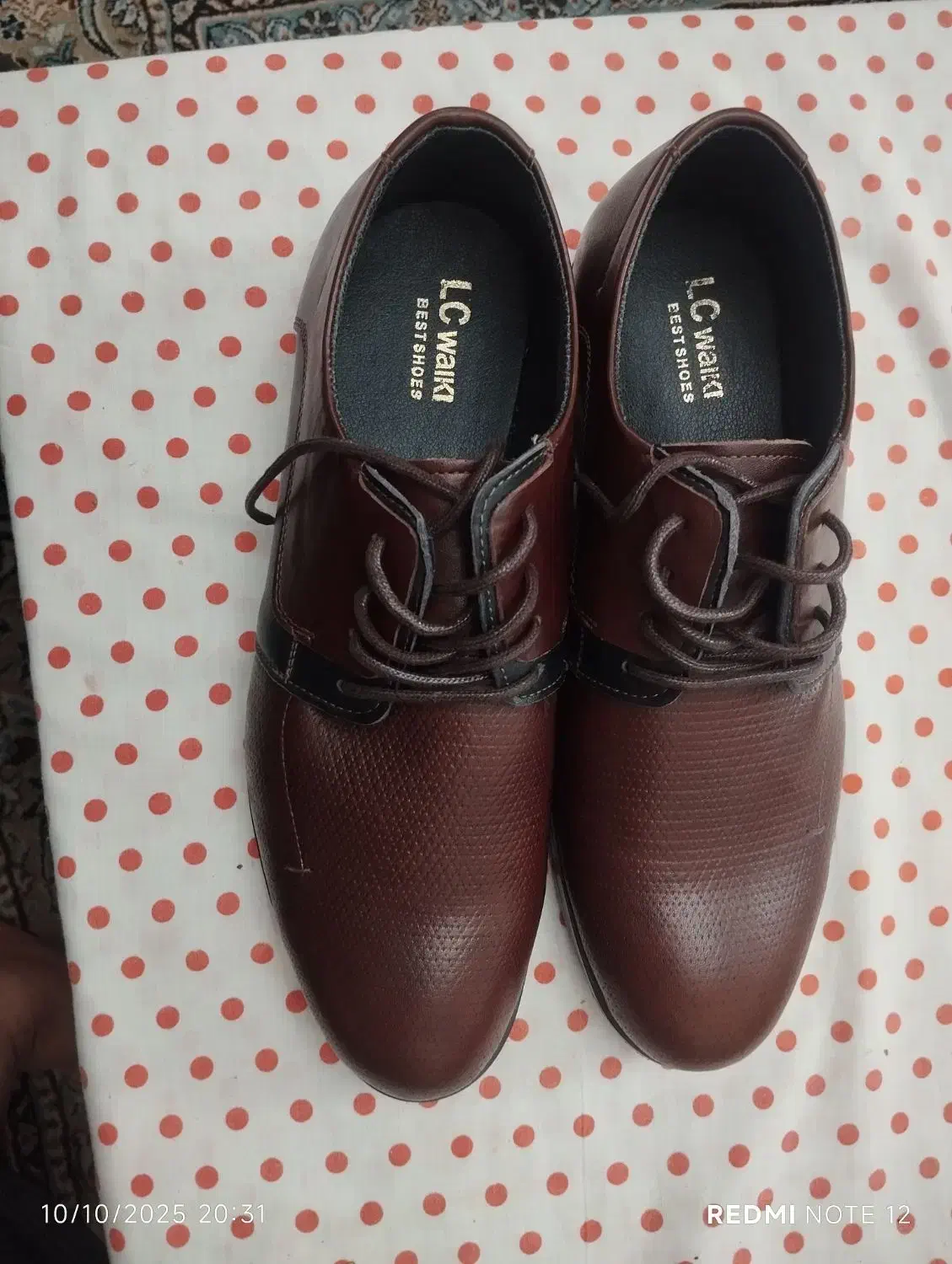 کفش مردانه lcwaiki|کیف، کفش، کمربند|پردیس, فاز ۳|دیوار