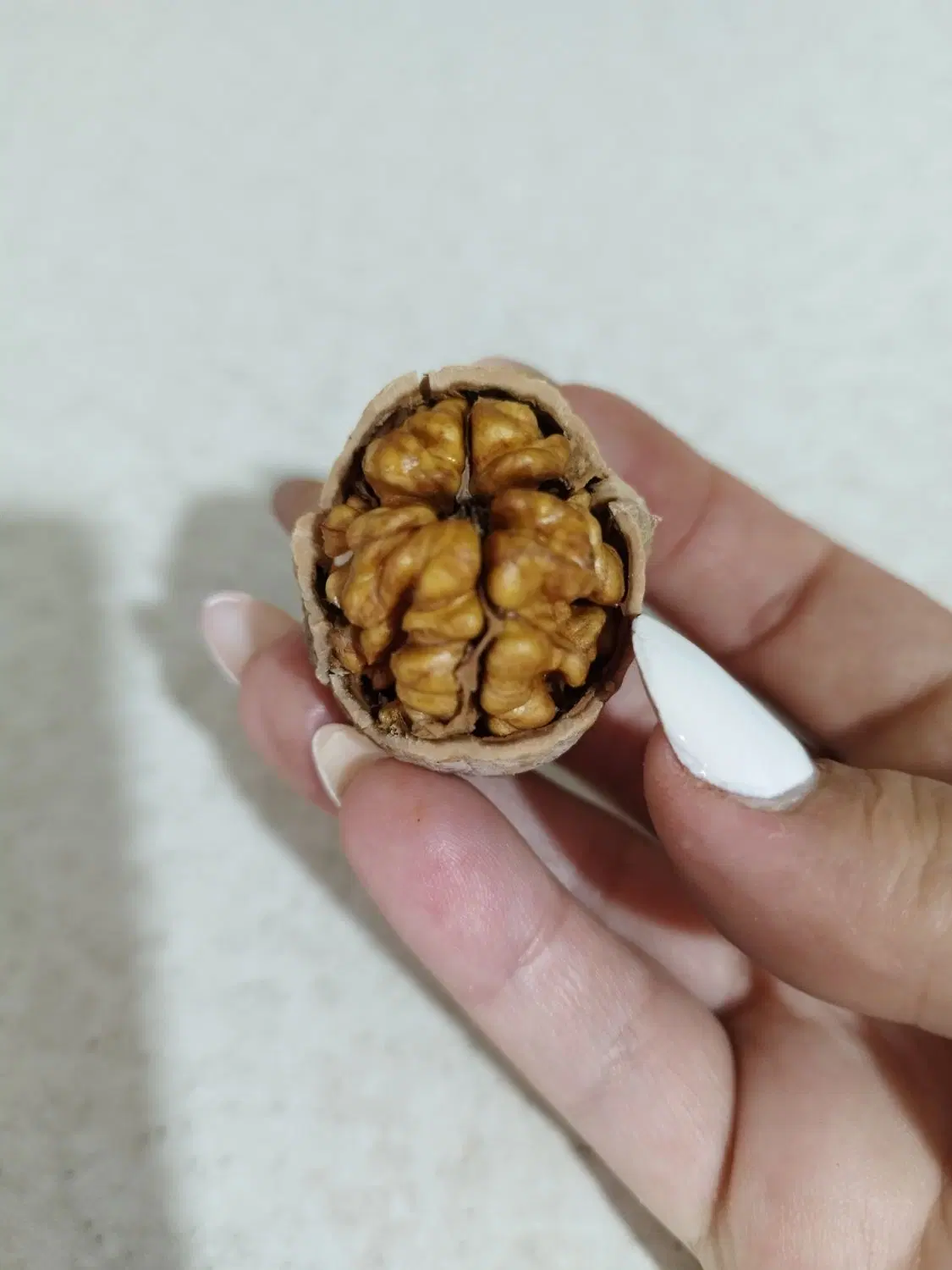گردو|خوردنی و آشامیدنی|خرمدشت, |دیوار