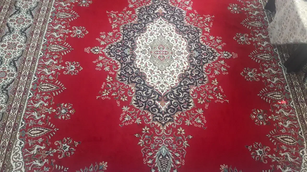 فرش ۱۲ متری قالی سلیمان|فرش|تنکابن, |دیوار