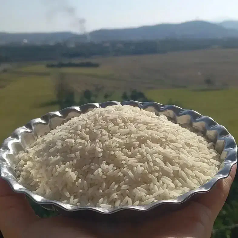 برنج چمپا|خوردنی و آشامیدنی|شهرکرد, |دیوار