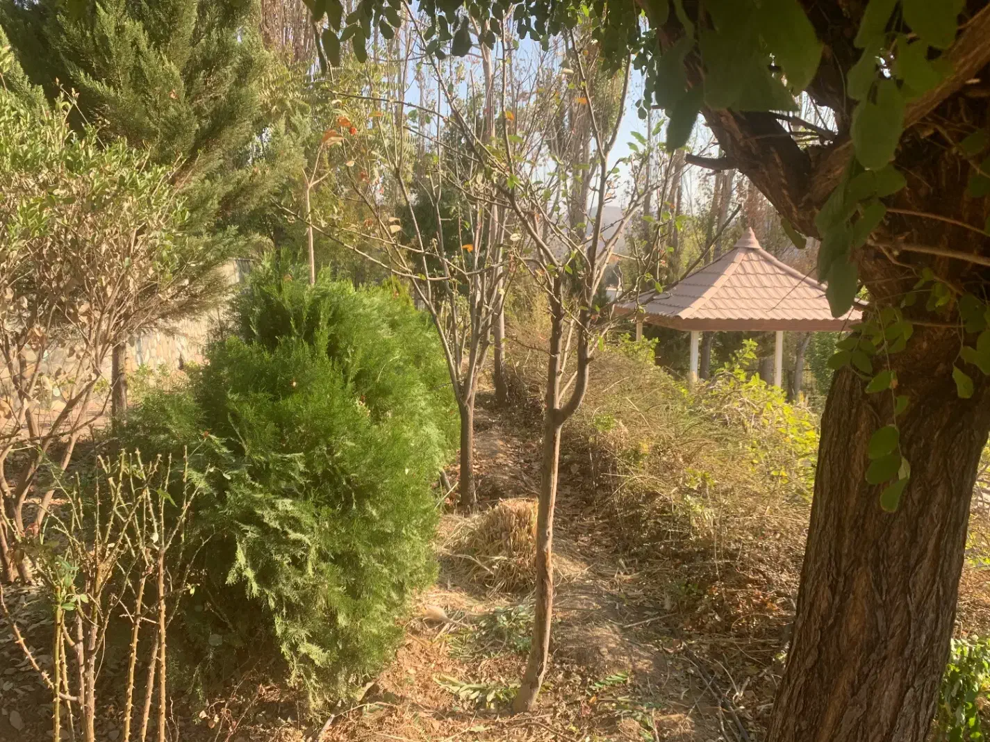 فروش باغ ویلا کردان|فروش خانه و ویلا|کوهسار (البرز), |دیوار