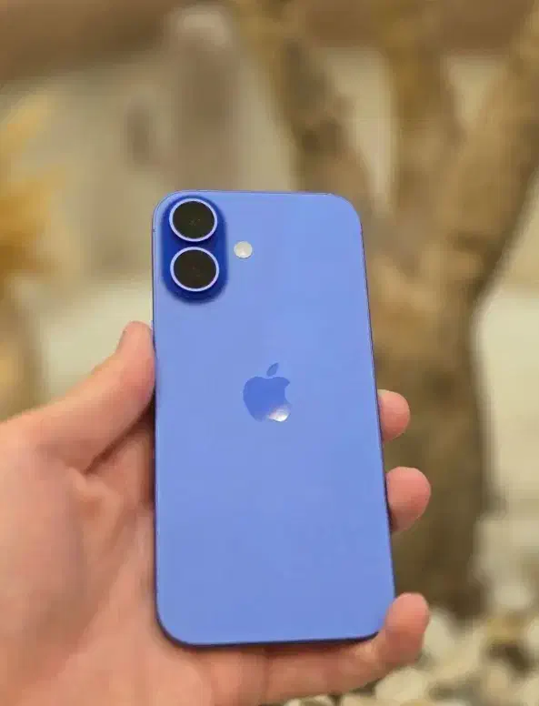 16 iPhone نرمال|موبایل|اصفهان, شیخ اشراق|دیوار