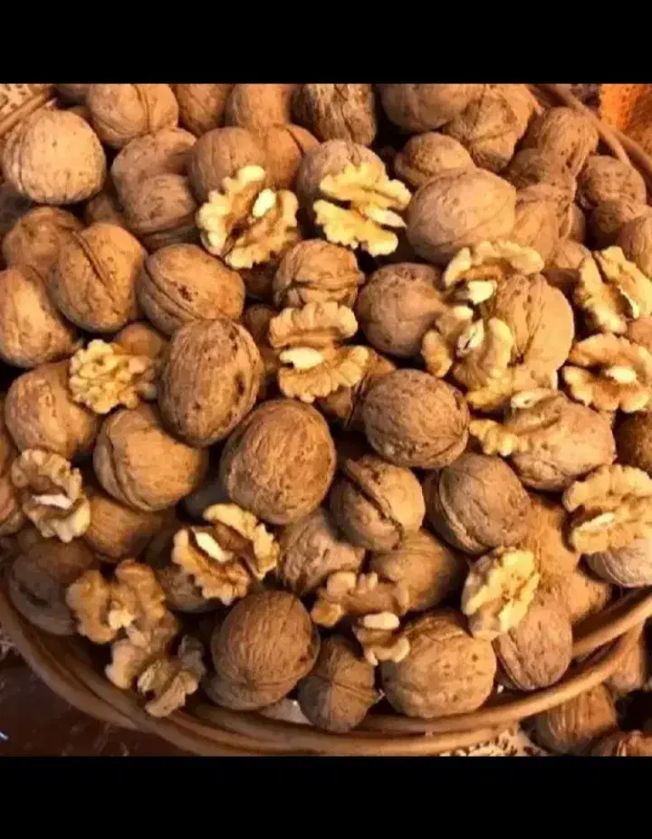 فروش گردو عمده و خرده|عمده‌فروشی|خرمدره, |دیوار