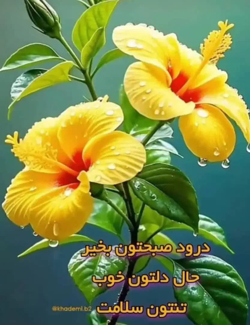 نیازمند پرستار آقا برای سالمند اقا|استخدام درمانی، زیبایی، بهداشتی|اردبیل, |دیوار