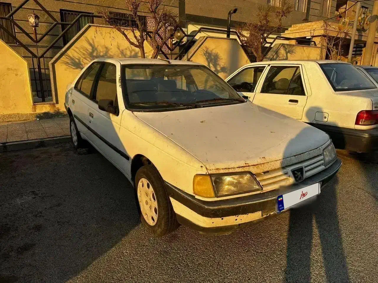 پژو RD مدل ۸۱ صدفی|خودرو سواری و وانت|تهران, ایوانک|دیوار