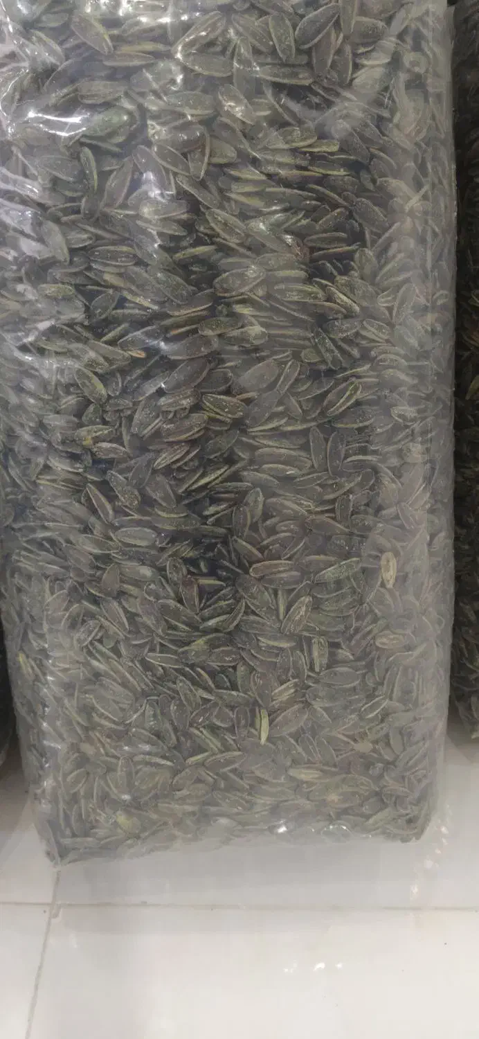 تخمه آفتابگردان|خوردنی و آشامیدنی|تهران, خلیج فارس|دیوار