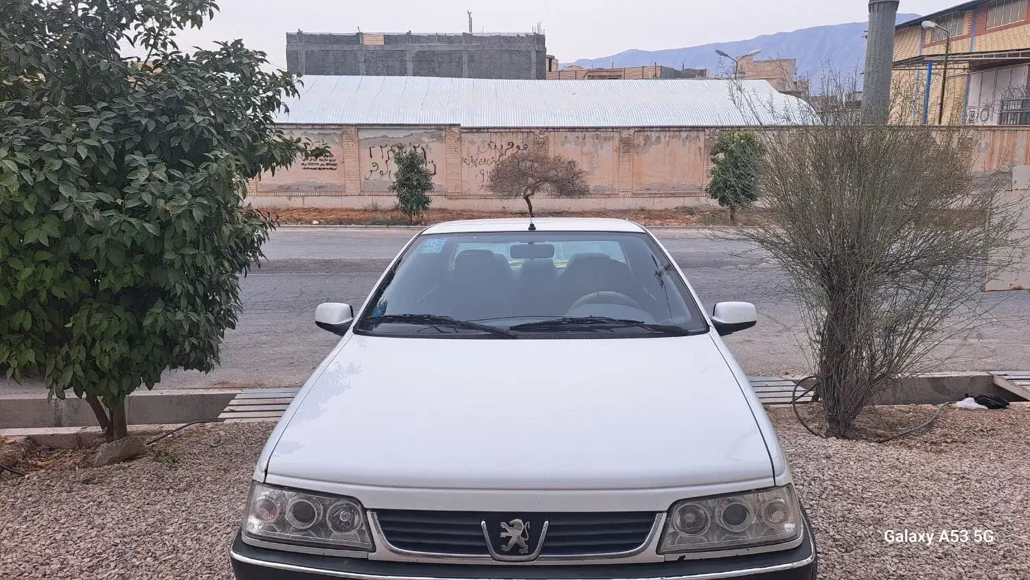 فروش|خودرو سواری و وانت|کازرون, |دیوار