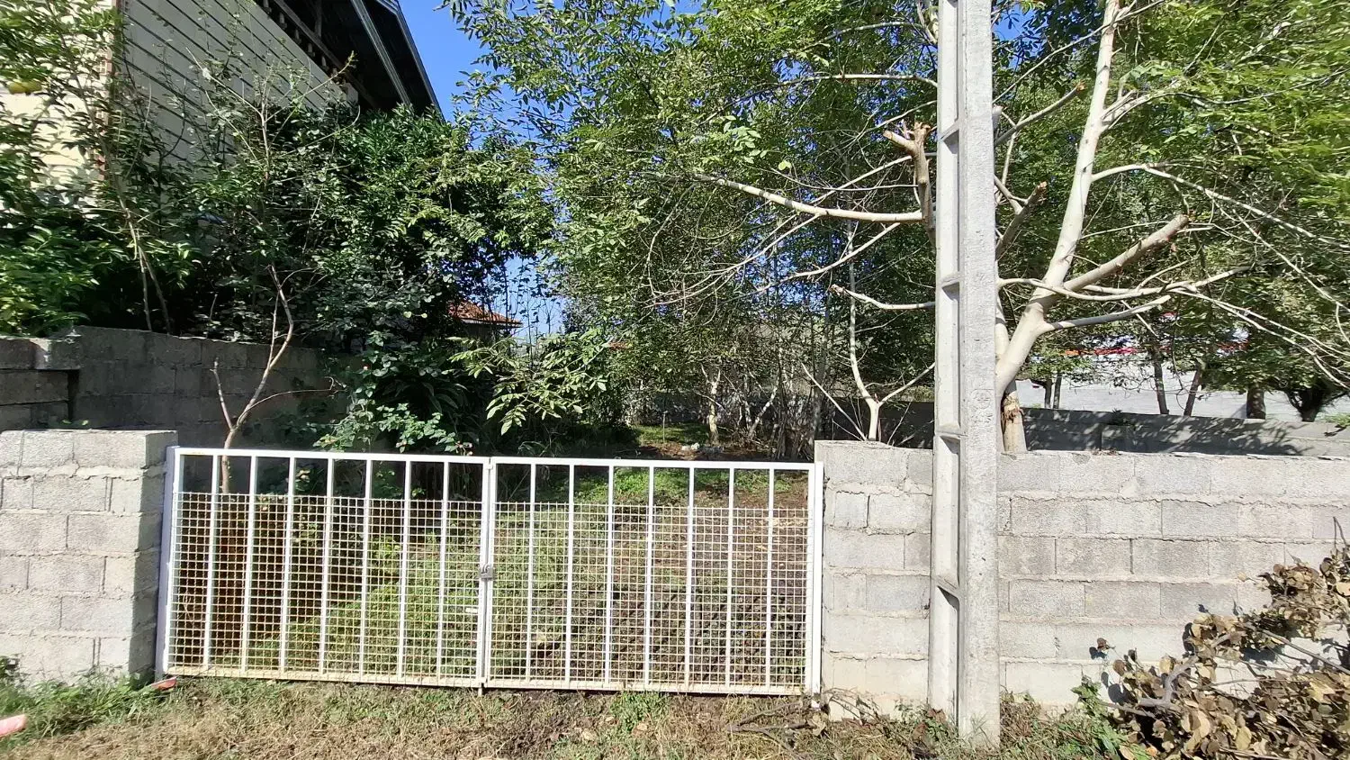 فروش زمین در جاده ماسال|فروش زمین و ملک کلنگی|طاهرگوراب, |دیوار