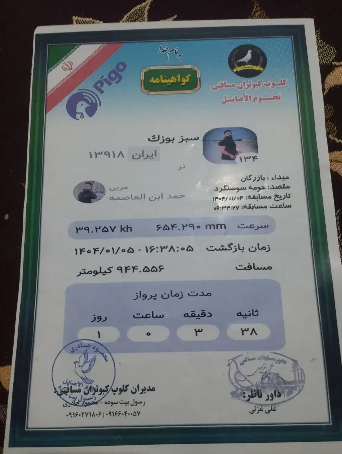 کبوتر پلاکی بازرگان نشسته|پرنده|سوسنگرد, |دیوار