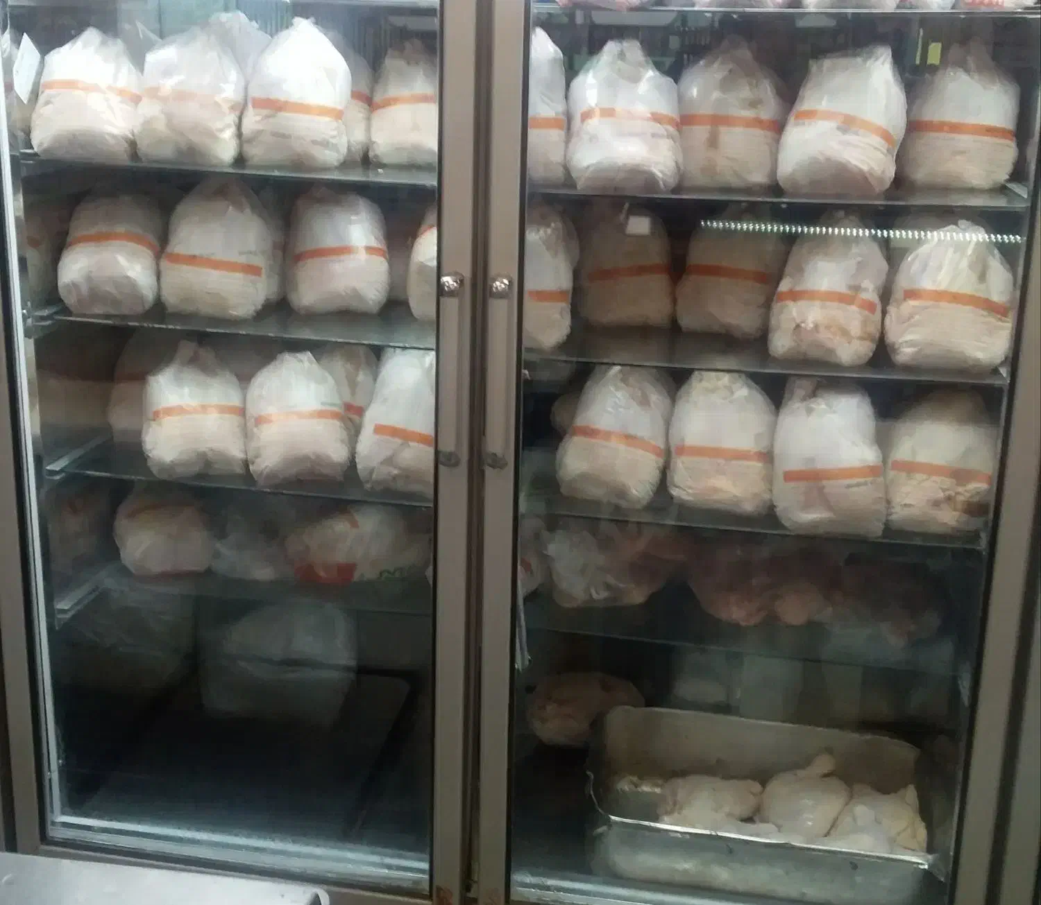 مرغ کار آقا ، جهت خرد کردن مرغ و قطعه بندی|استخدام خدمات فروشگاه و رستوران|پردیس, فاز ۱|دیوار