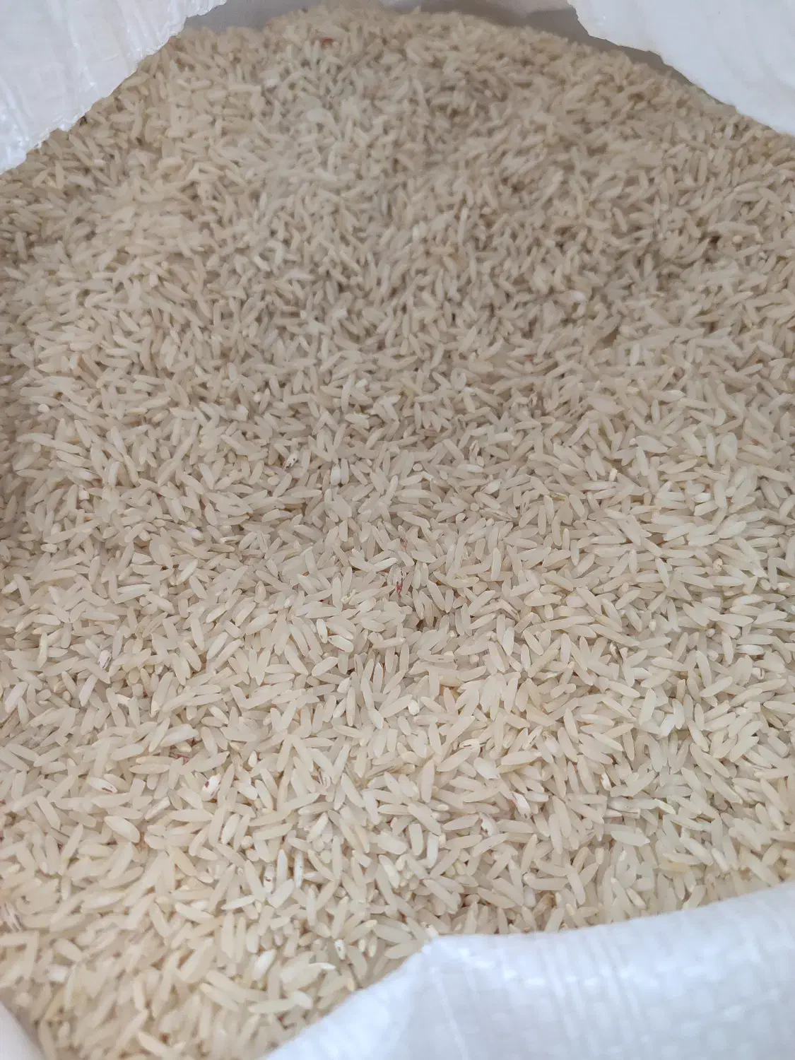 برنج طارم هاشمی|خوردنی و آشامیدنی|گمیشان, |دیوار