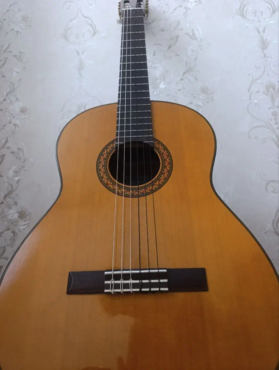 گیتار C70|گیتار، بیس، امپلیفایر|مشهد, جوادیه|دیوار