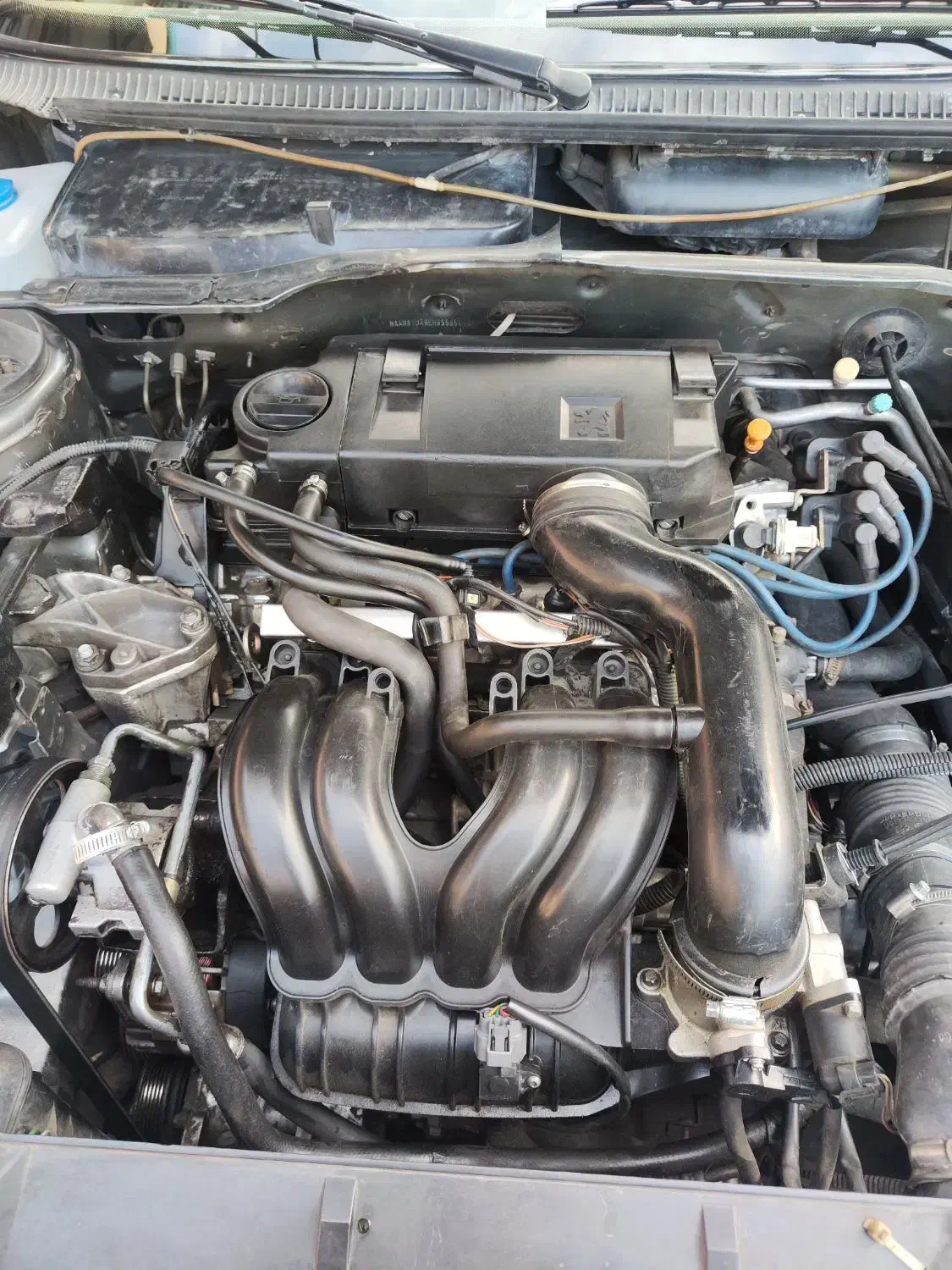 خودرو|خودرو سواری و وانت|نور, |دیوار