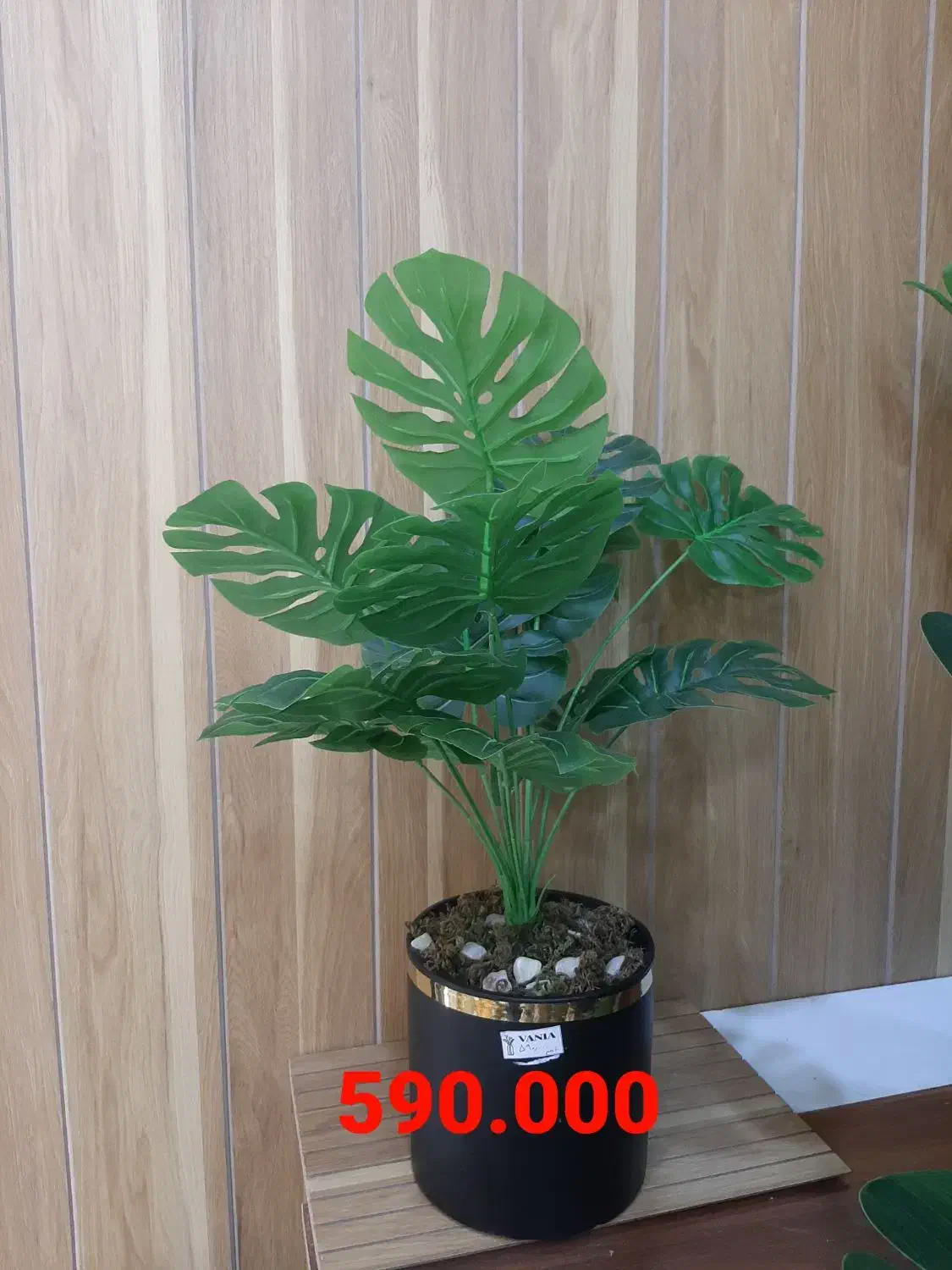 درختچه مصنوعی|گل مصنوعی|خورموج, |دیوار