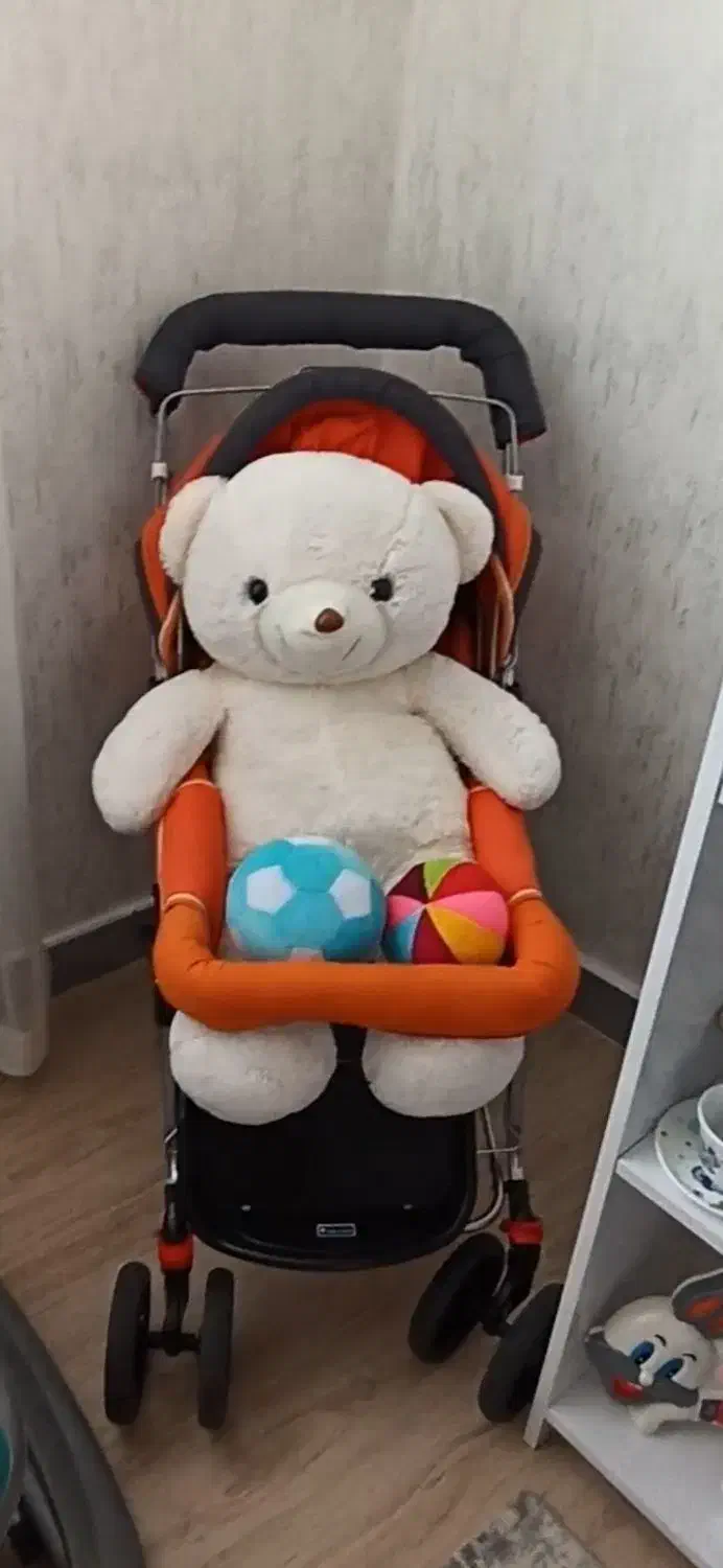 کالسکه|کالسکه و لوازم جانبی|تبریز, |دیوار