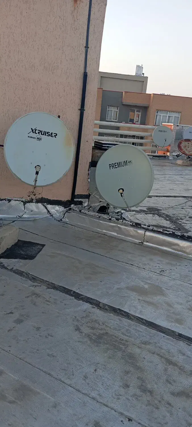 آنتن گردون|خدمات پیشه و مهارت|خسروشاه, |دیوار