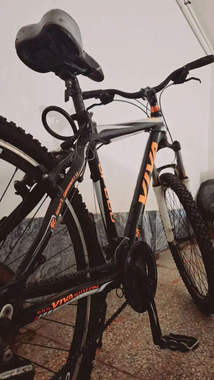 دوچرخه ویوا تایوانی|دوچرخه، اسکیت، اسکوتر|بروجرد, |دیوار