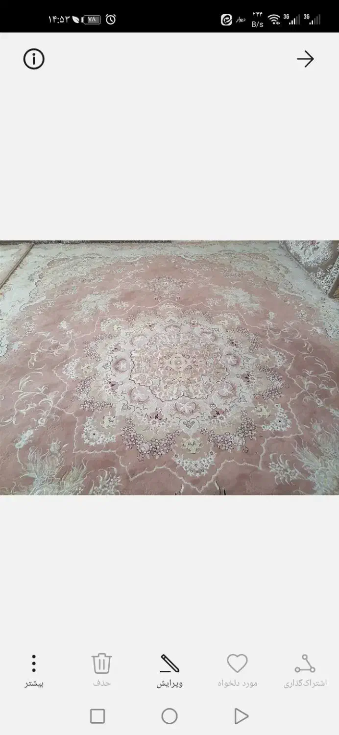 یک جفت فرش 12متری|فرش|بیرجند, |دیوار