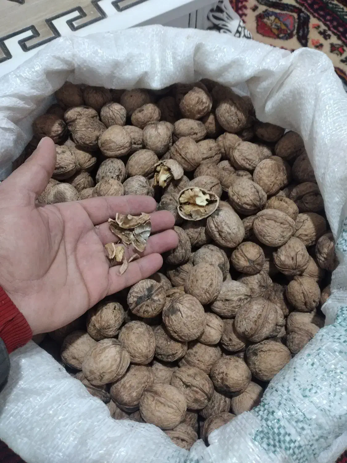 گردو کاغذی فوق اعلا درجه یک|خوردنی و آشامیدنی|ارشق, |دیوار