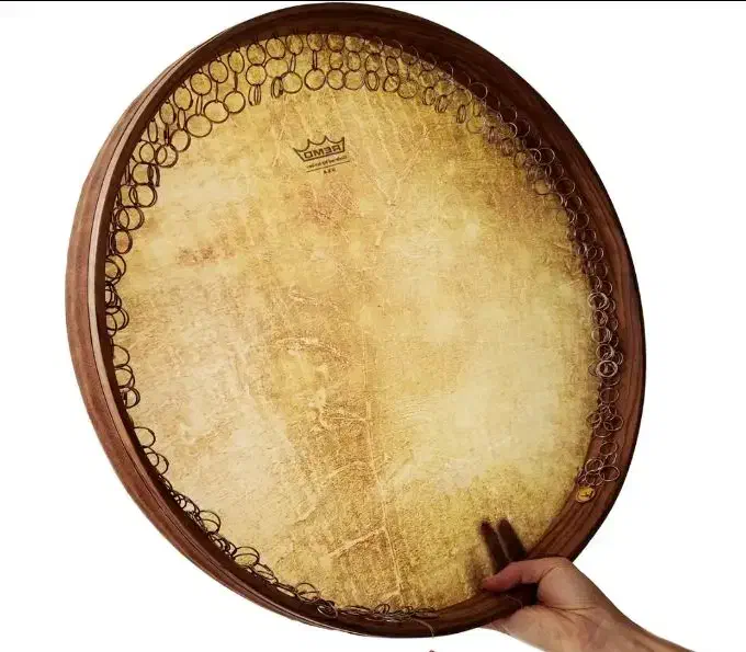 دف سما مدل Remo و کیف ضد ضربه|سازهای سنتی|رشت, منظریه|دیوار