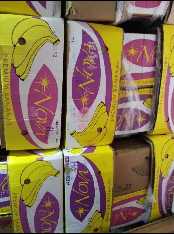 کارتن موزی|عمدهفروشی|بیرجند, |دیوار