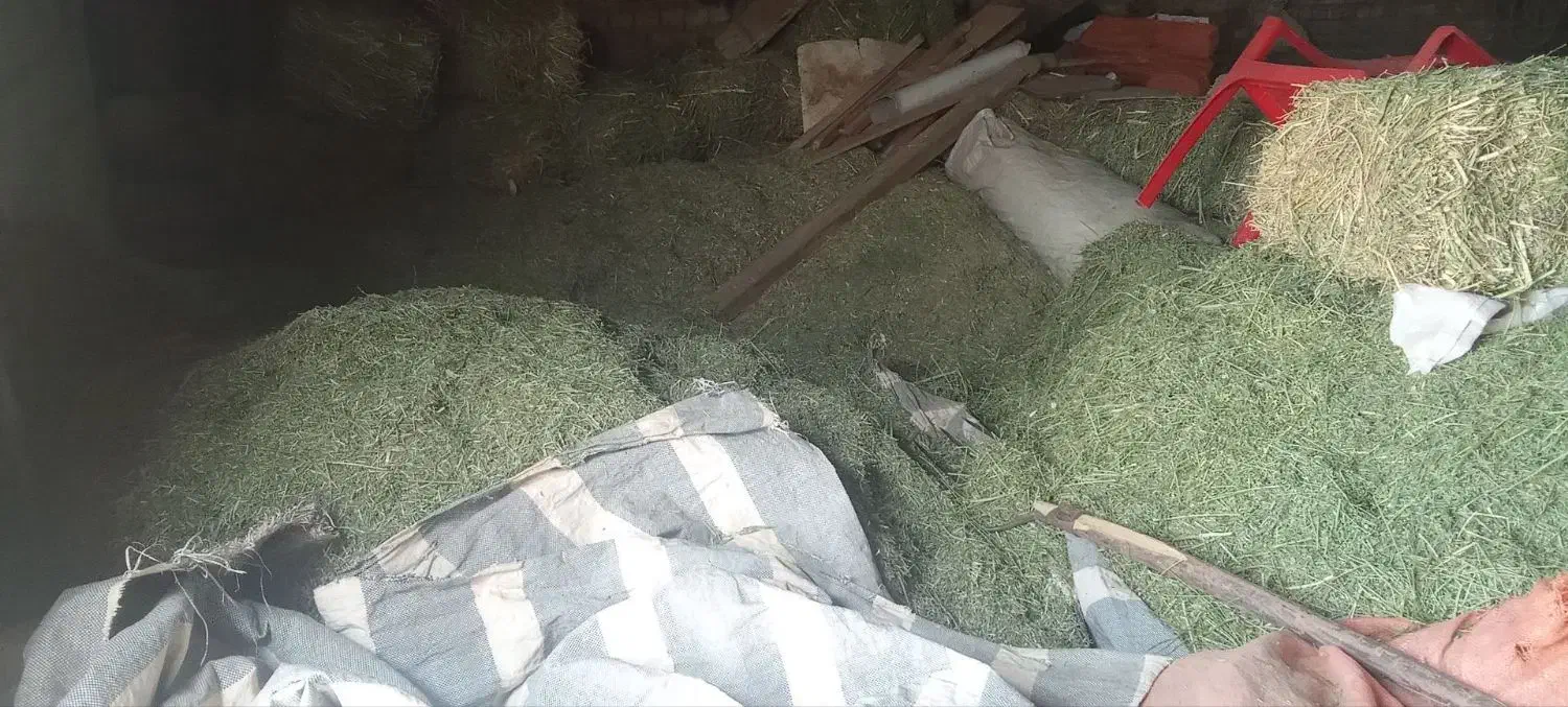 گل ینجه چین 4|حیوانات مزرعه|بن, |دیوار