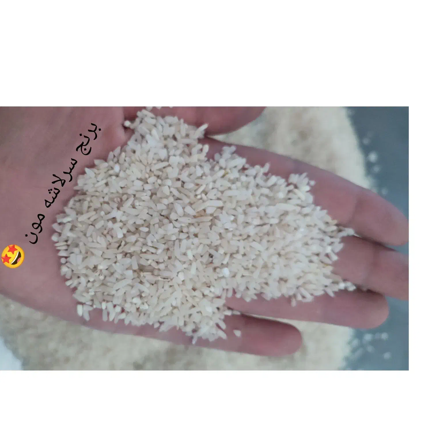 برنج اعلای طارم هاشمی کشت دوم|خوردنی و آشامیدنی|قم, حاج زینل|دیوار