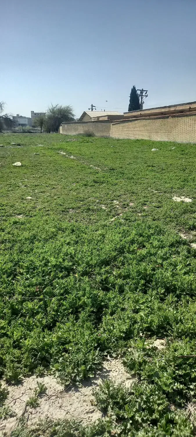 فروش زمین ۲۱۰ متری پشت بیمارستان قلعه خمیسی|فروش زمین و ملک کلنگی|باغ ملک, |دیوار