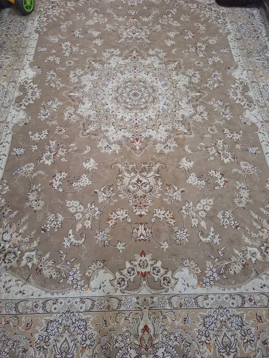 فرش ۱۲ متری گردویی|فرش|قرچک, میرزائی شمالی|دیوار