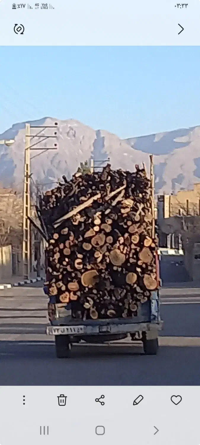 خرید وفروش چوب|خدمات باغبانی و درختکاری|یزد, |دیوار