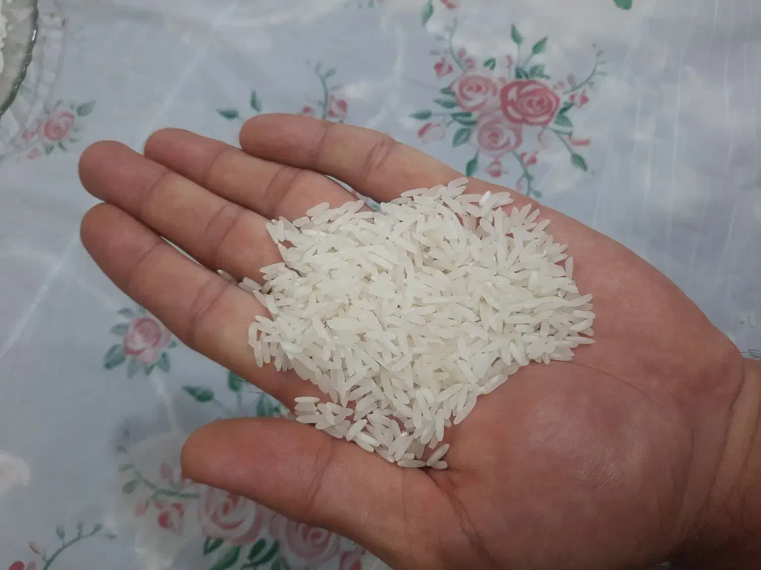 برنج وارداتی درجه یک|خوردنی و آشامیدنی|ایلام, |دیوار