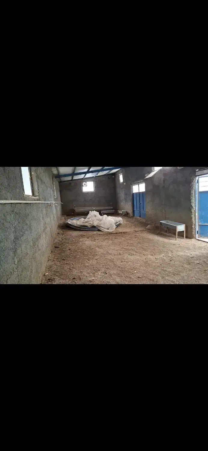 دامداری ۱۰۰ راسی روستایی|فروش زمین و ملک کلنگی|خاو و میرآباد, |دیوار