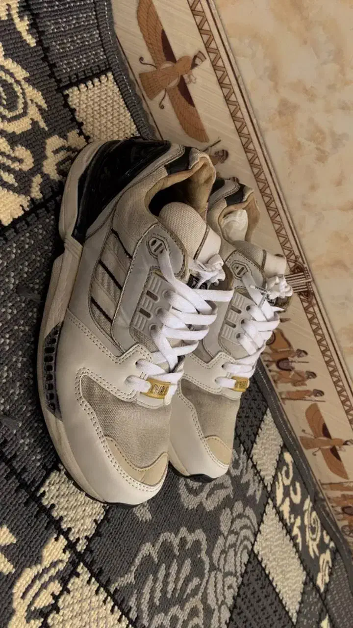 کتونی زد ایکس ۸۰۰۰ چارلی|کیف، کفش، کمربند|ماهدشت, |دیوار