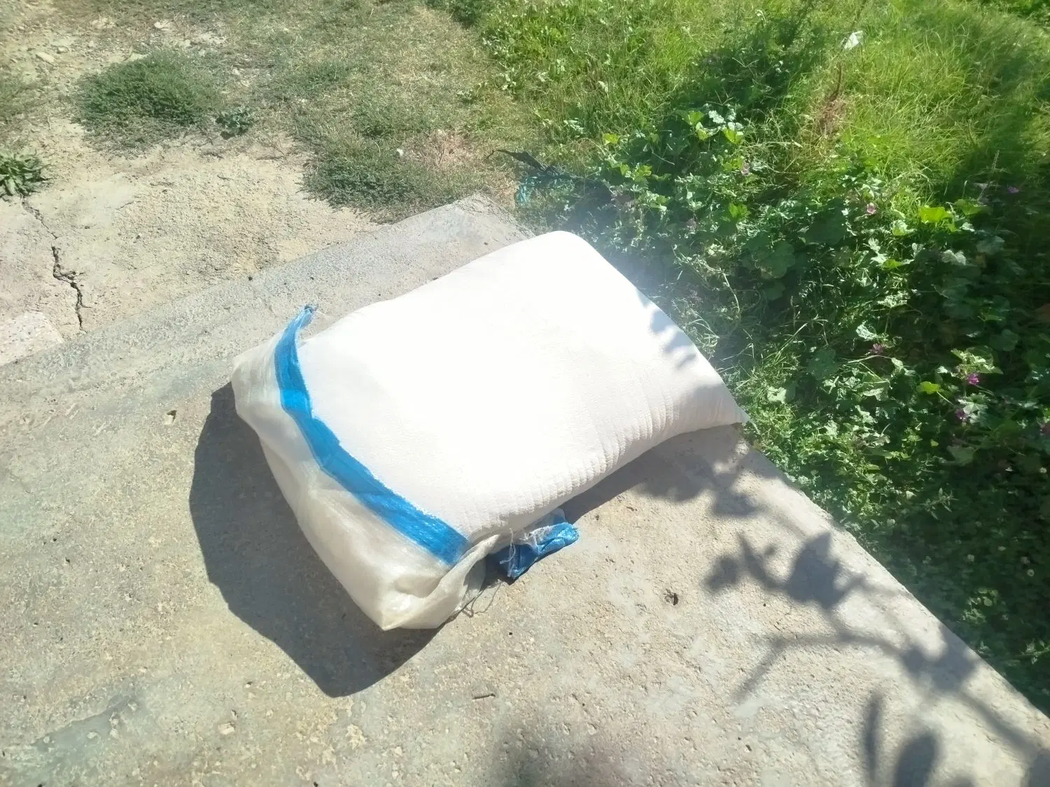 آرد|حراج|چناران, |دیوار