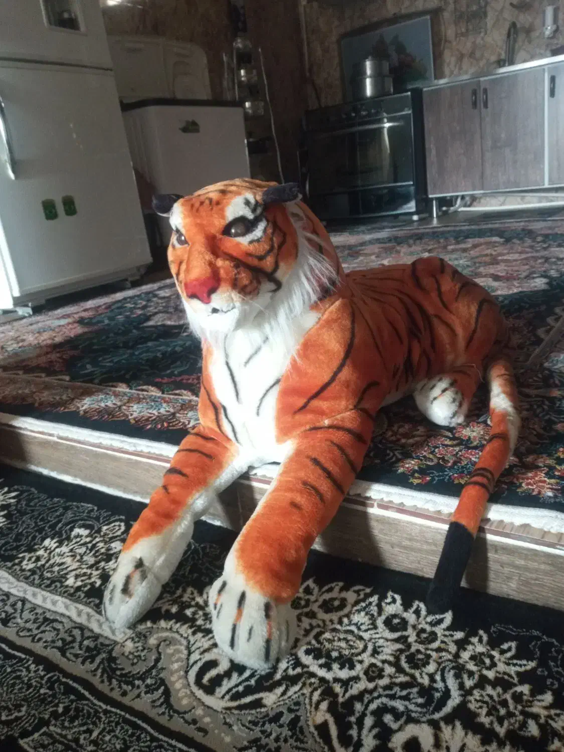 ببر بزرگ|اسباب‌‌بازی|ایوان, |دیوار