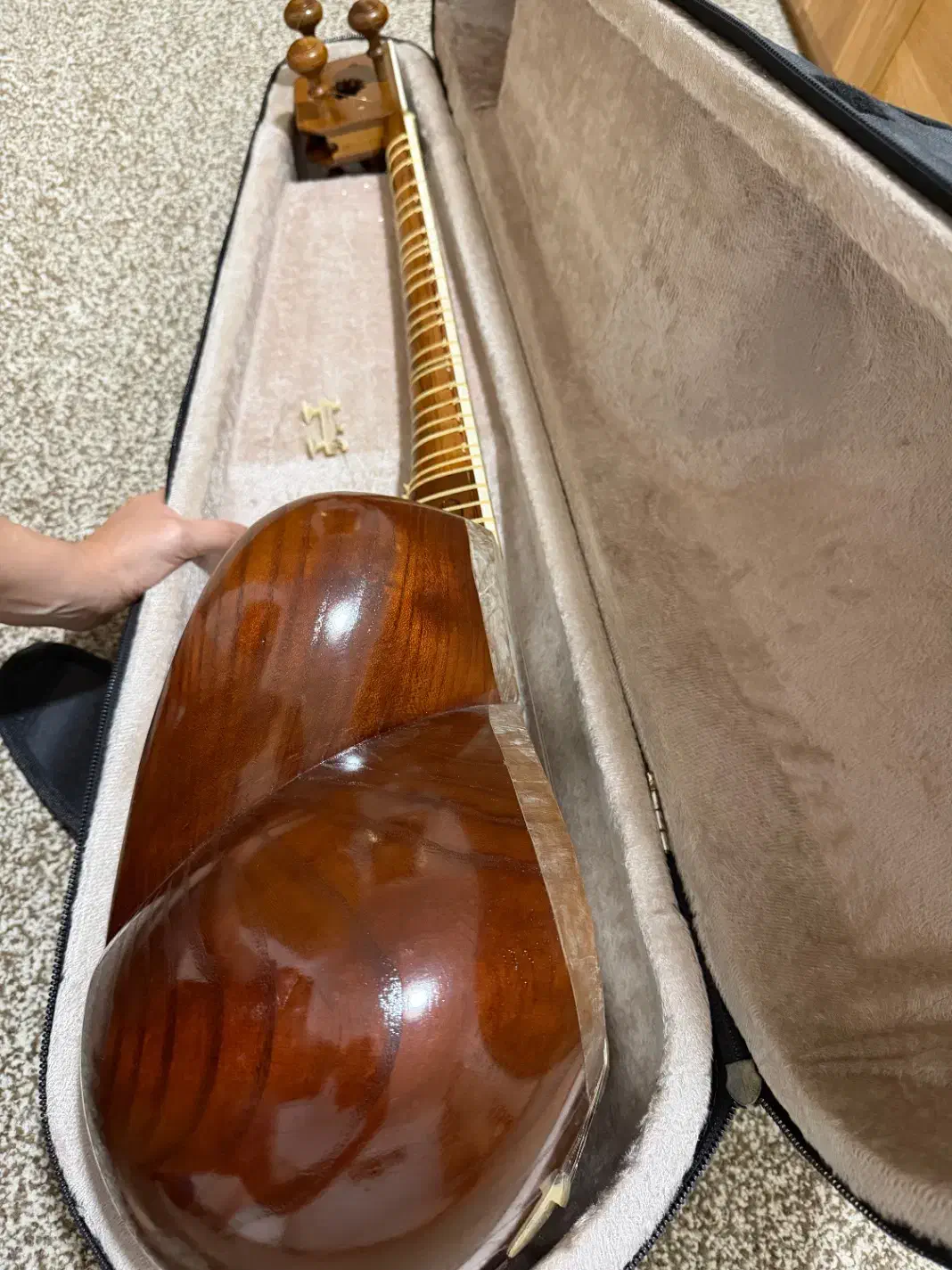 تار|سازهای سنتی|تهران, عباسی|دیوار