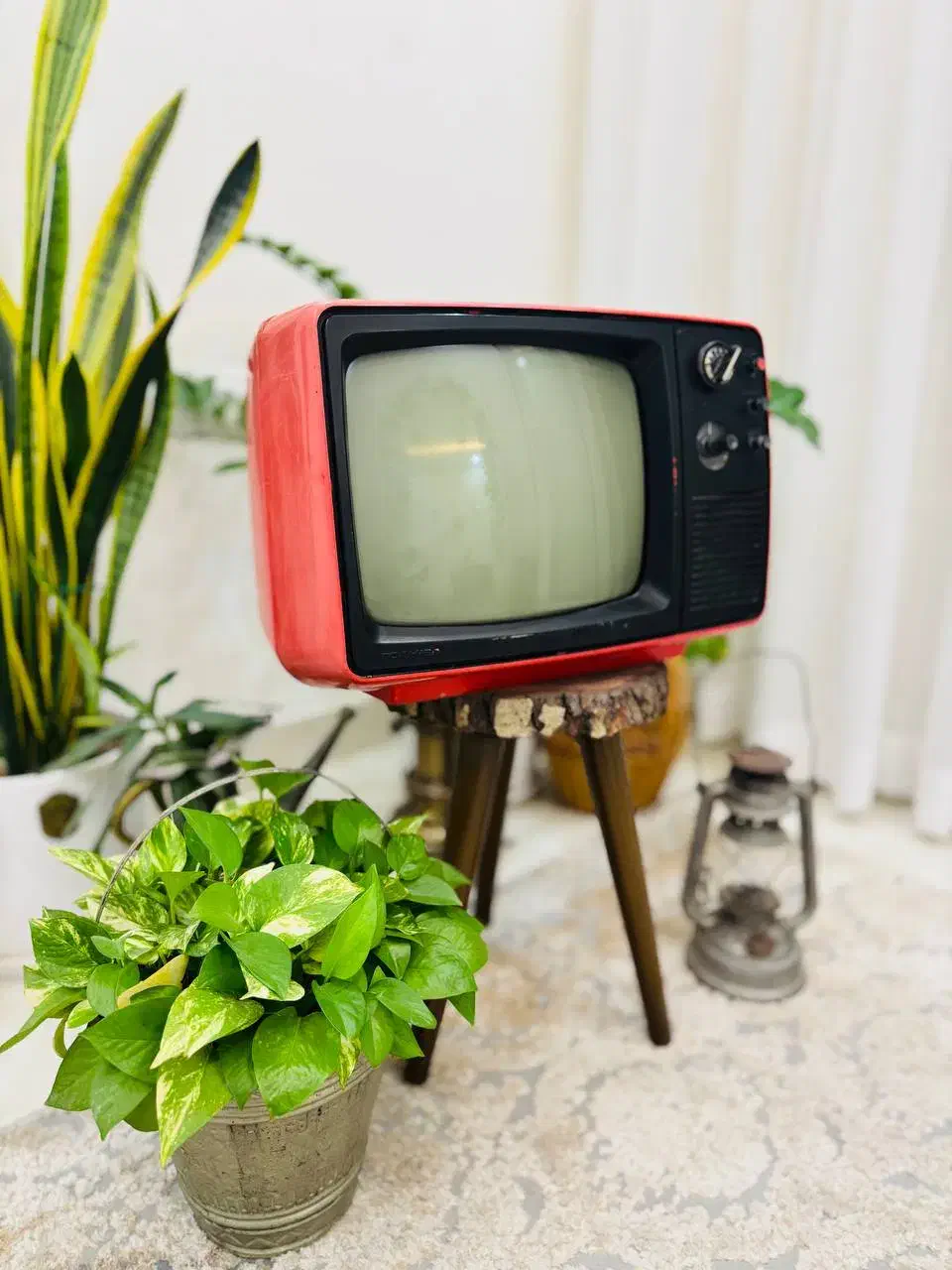 تلویزیون قدیمی کلکسیونی|کلکسیون اشیاء عتیقه|رشت, فلسطین|دیوار